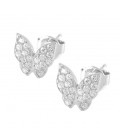 Butterfly Crystal Studs Silver by Lucky Eyes