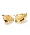 Collette Waudby Leaf Studs 9ct Gold
