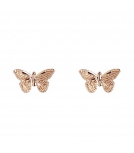 Butterfly Studs Rose Gold